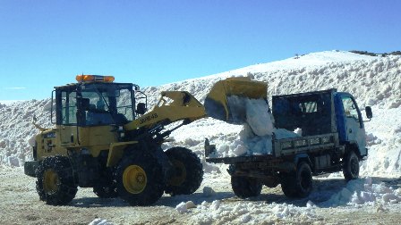 除雪作業中の様子