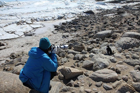 南極動物撮影の様子、決められたルールに則り望遠レンズで、決定的な一枚を狙います。