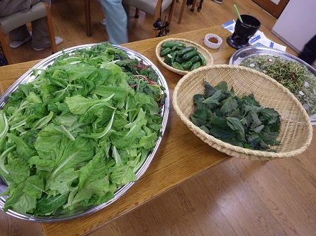 収穫した野菜