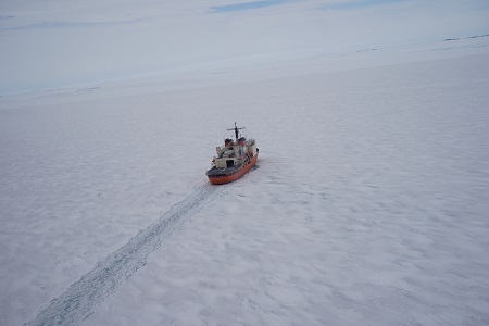 ヘリから見える海氷上のしらせ