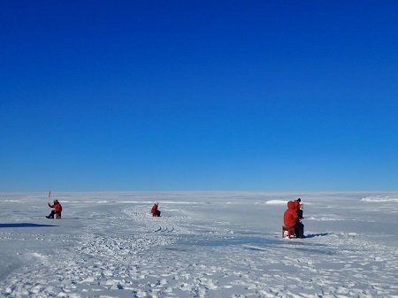 海氷での作業は安全を確認のうえ実施しています