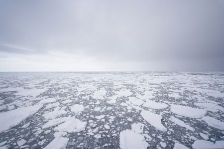 流氷域