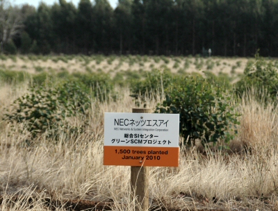 カンガルー島　植樹した土地