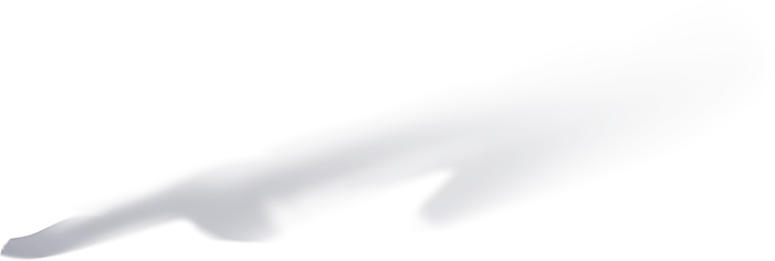 影