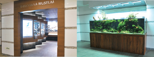 オフィス内観SHIMOHANA　MUSEUM、オフィス内観水槽