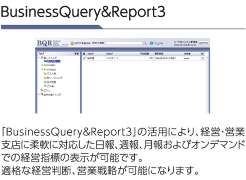 DCBEE（通称ドクビー）のBIツール　BusinessQuery&Report3画面　のイメージ