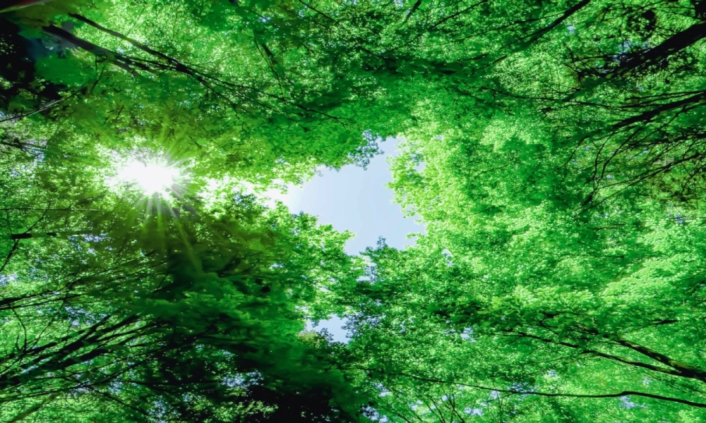 気候変動への対応