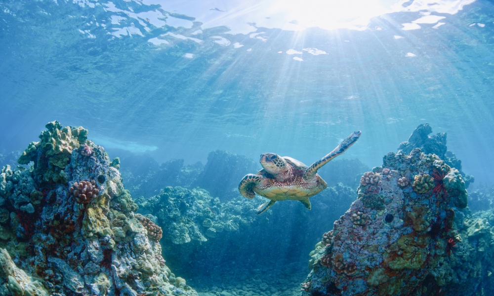 環境負荷低減への取り組み